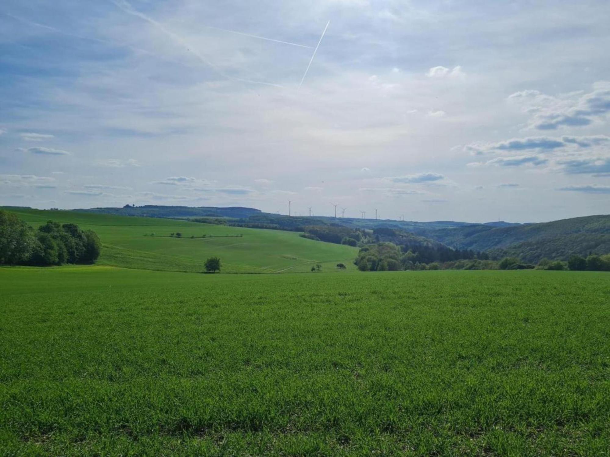 Tranquil Holiday Home In Filz In The Eifel With Garden Ngoại thất bức ảnh